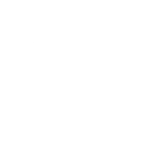 logo blanc DDM